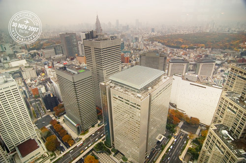 View from the Tokyo Metropolitan Government Building View from the Tokyo Metropolitan Government Building