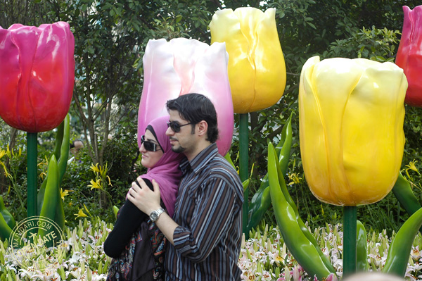 Sentosa Flowers Spring Wonderland - giant fibre-glass tulips at Imbiah Lookout Not real tulips, but these visitors don't seem to mind